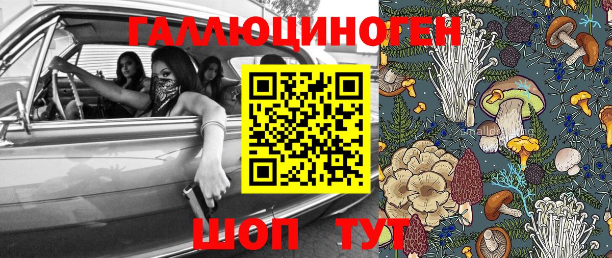 Галлюциногенные грибы GOLDEN TEACHER  Вход с VPN  Белово 